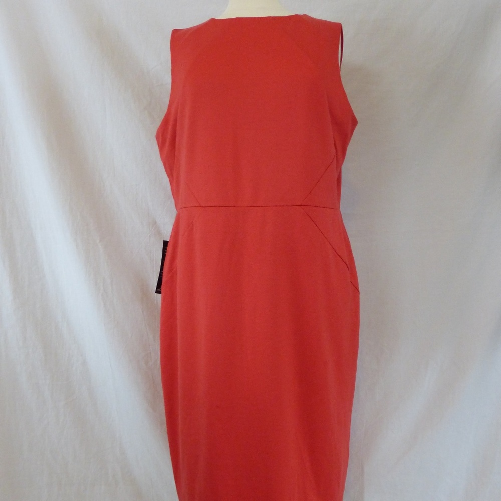 The Limited Sleeveless Fully Lined Sheath Dress